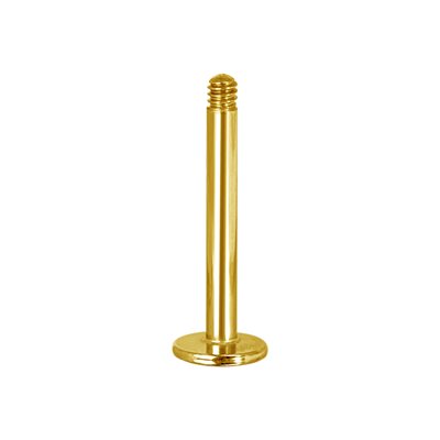 Tige de labret plaqué or 24k Tige de labret plaqué or 24k