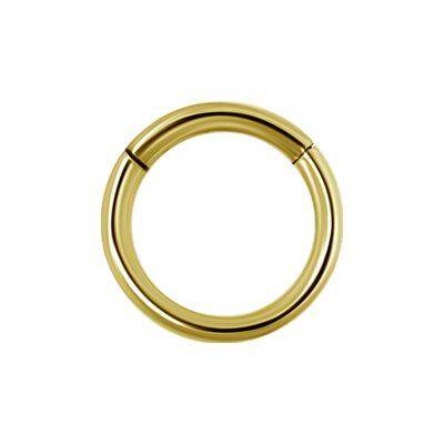 Anneau continu plaqué or 24k avec bras articulé Anneau continu plaqué or 24k avec bras articulé