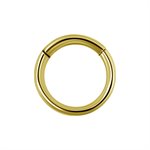 24k gold plated hinged segment ring