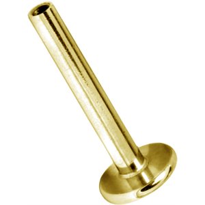 Tige de labret interne plaquée or 24k