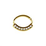 24k gold pvd hinged segment ring daith jewelled clicker