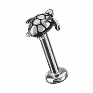 Labret interne avec une tortue de mer