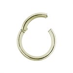 Zircon gold steel hinged segment ring