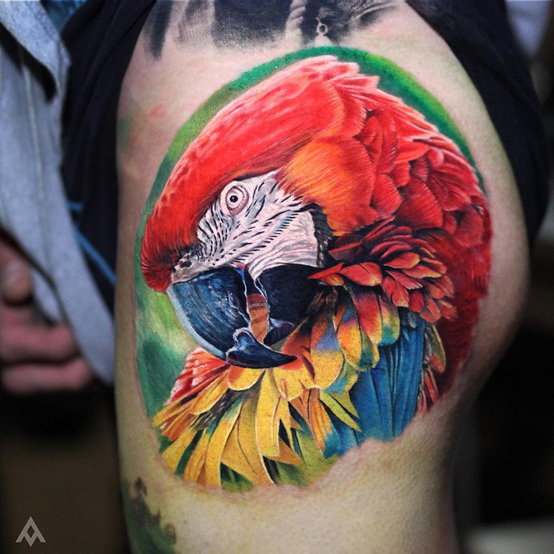 realistic macaw tattoo
